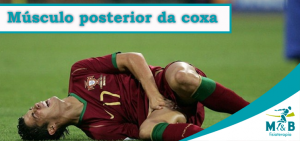 posterior-coxa